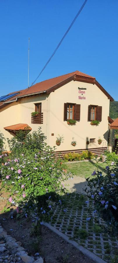 Pensiunea Elena Si Maria Saschiz Exterior foto